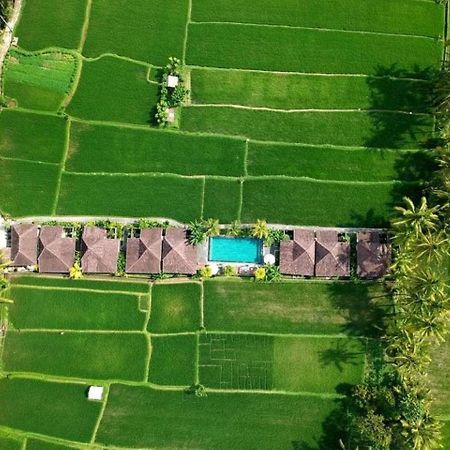 Intan Villa & Suite Ubud Ngoại thất bức ảnh