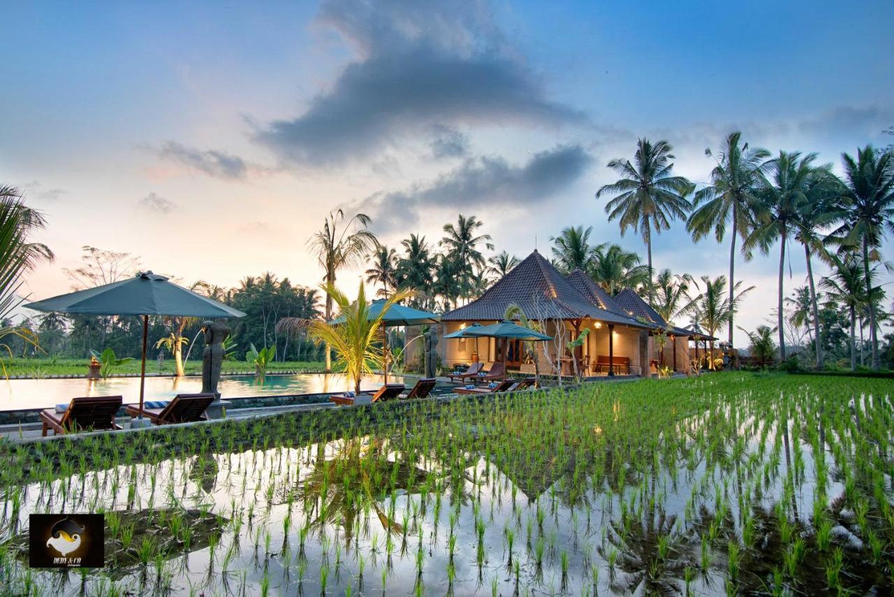 Intan Villa & Suite Ubud Ngoại thất bức ảnh