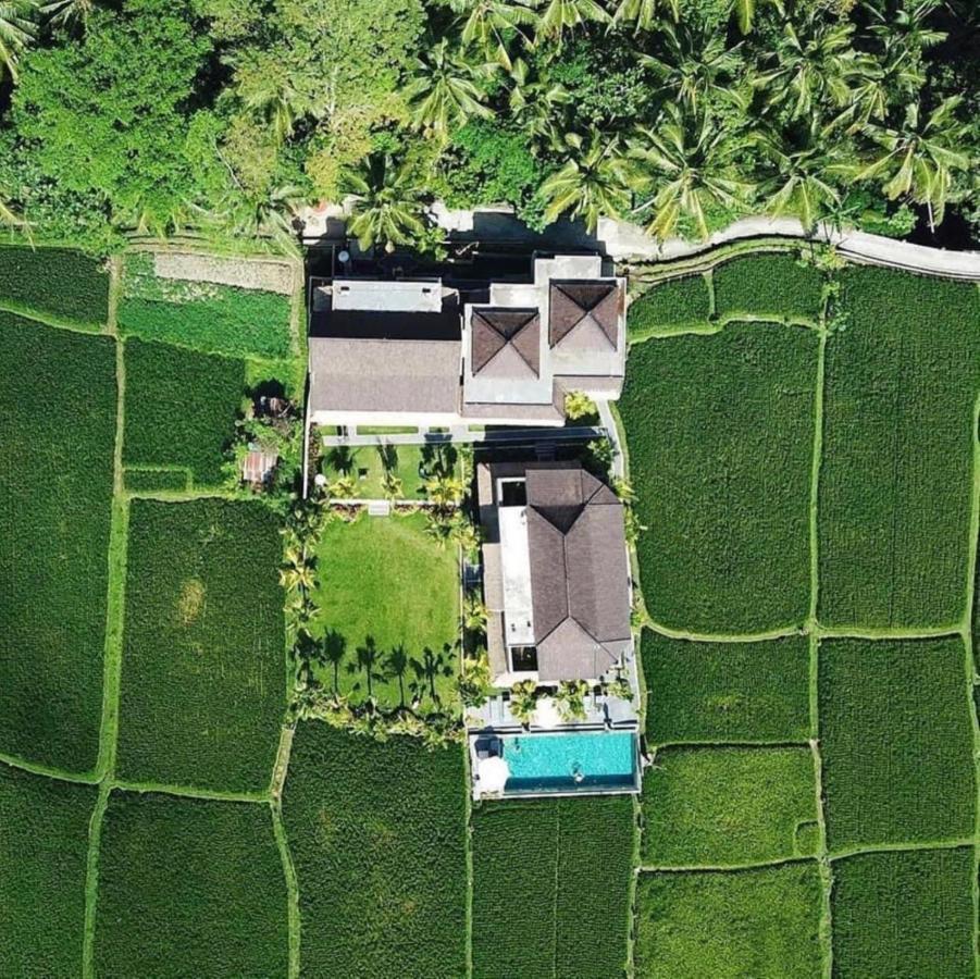 Intan Villa & Suite Ubud Ngoại thất bức ảnh