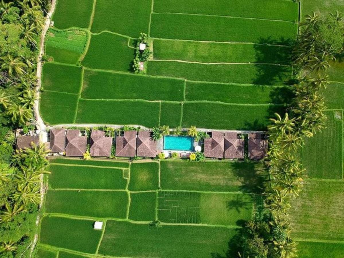 Intan Villa & Suite Ubud Ngoại thất bức ảnh